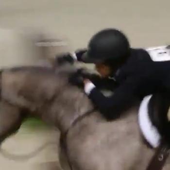 TrakehnerEq's tweet photo. when ur showing on a sunday and have school the next day http://t.co/oJirABHugs