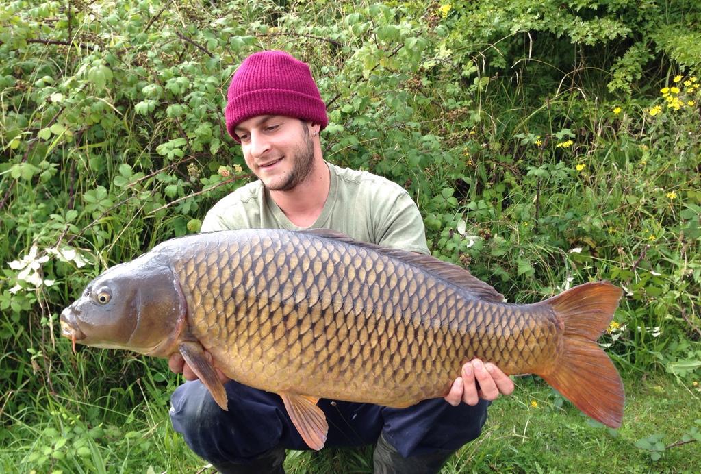 Charlie Shipmans unstoppable run of form continues with a 26lb common caught on The Mamba #carp #fishing