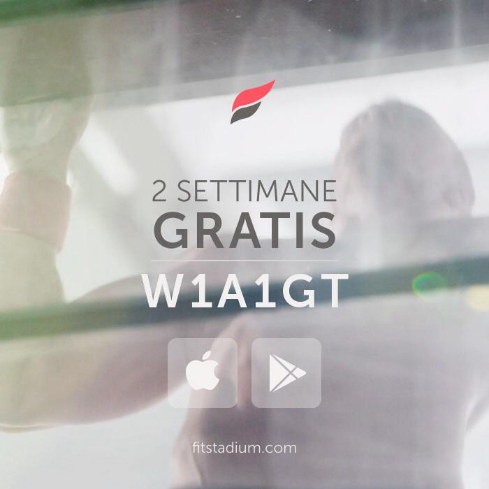 wollytavolazzi tweet picture
