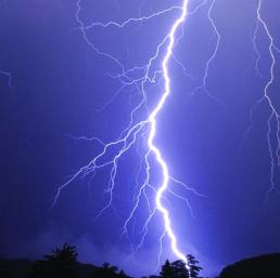 Collegamento permanente dell'immagine integrata