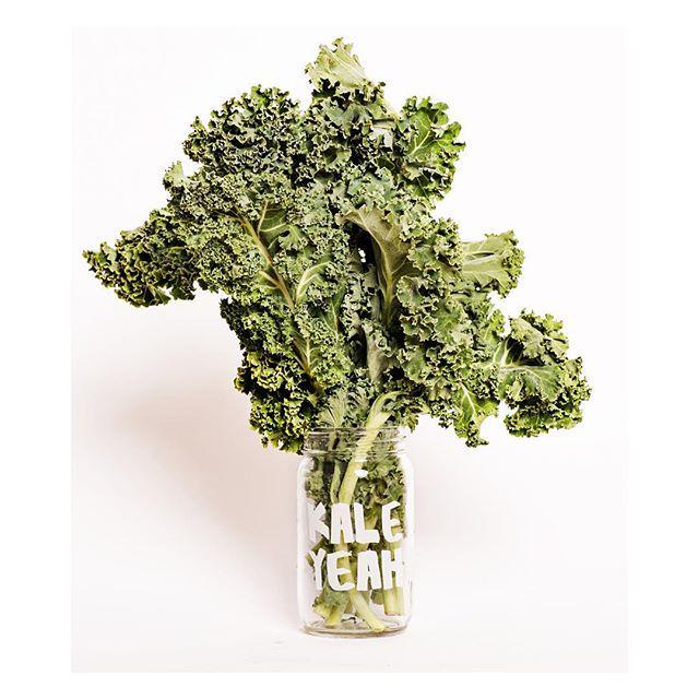 TheLoveBombCo's tweet photo. Can I get a Kale Yeah?! #kaleyeah #kaleme #juicy #greenjuiceaddict http://t.co/xbSecgBRkB http://t.co/YhtuJKujV2