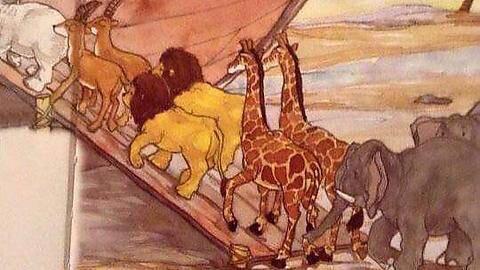 AmbientLion's tweet photo. It's going to be a challenge to breed those lions, I suspect. #twoOfEach http://t.co/975Lm7H39w