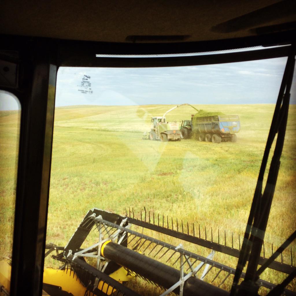 Footprint74's tweet photo. And we're off! Round two of #silage15 began today. #cowfeed @albertabeef @canCharolais #FootprintFarms http://t.co/5VHKmlhVKp