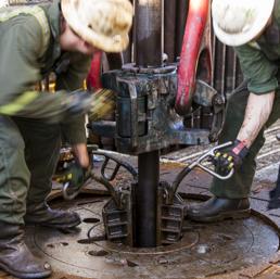 Collegamento permanente dell'immagine integrata