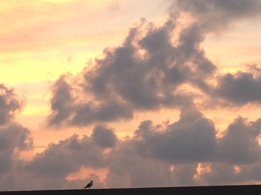CorraroDavide's tweet photo. @GfeVerona ultima Alba nella strepitosa Ventotene, isola di sogni e speranze per il futuro dell'Europa e del mondo! http://t.co/nU2IFQpBc7