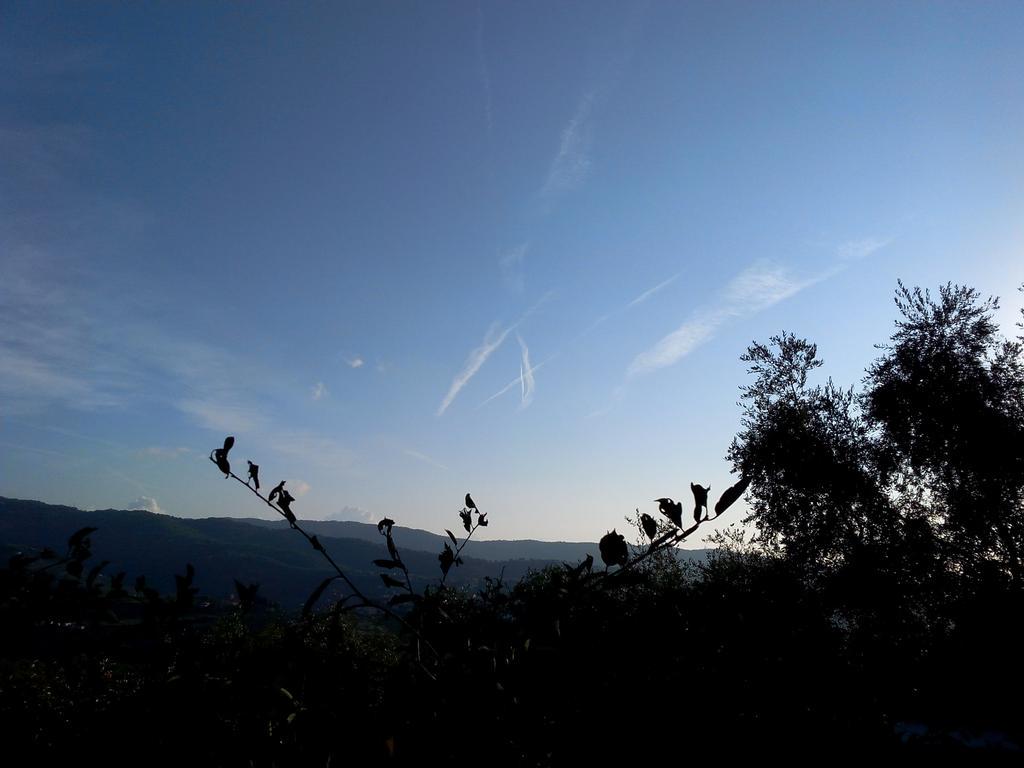 pittando's tweet photo. #siscia http://t.co/HNyKEgbr0f