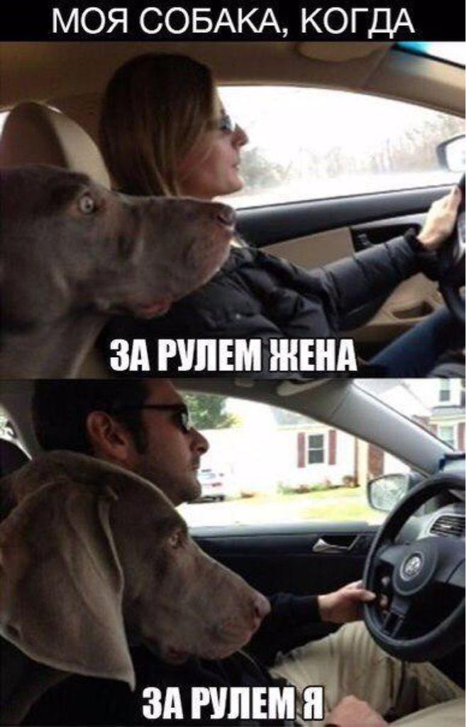 Юрий Богодухов (@yura250773) on Twitter photo 