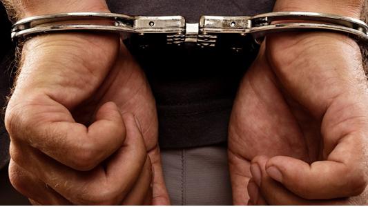 Collegamento permanente dell'immagine integrata