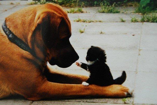 WorldInterestin tweet picture