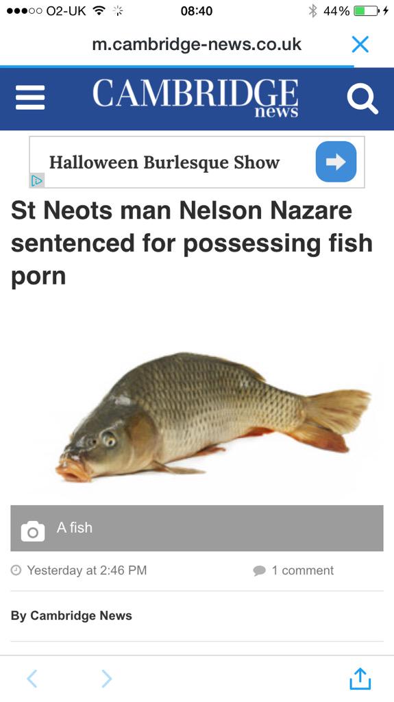 Live Fish Porn - Cambridgeshire Live on Twitter: \