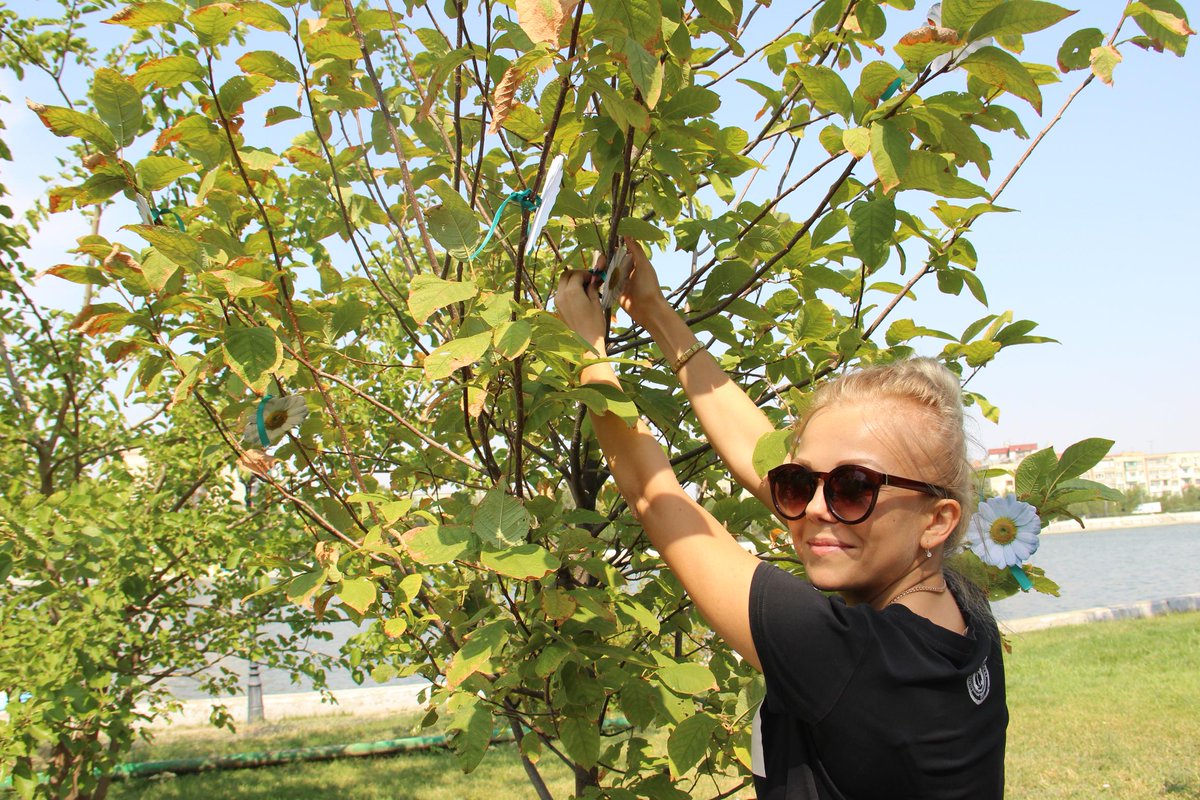 umsrit's tweet image. #Астрахань #Минсоц Дерево-жизни.Привлекаем внимание к ответственному родительству в рамках акции "Добровольцы-детям"