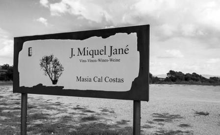 Experiencias en bodegas <a href="/MiquelJane/">Bodega J.Miquel Jané</a> Didáctico para conocer el mundo del vino y su entorno irconninos.com/r/curso-comple…