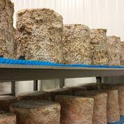 Have you tried our Blue Cheese?