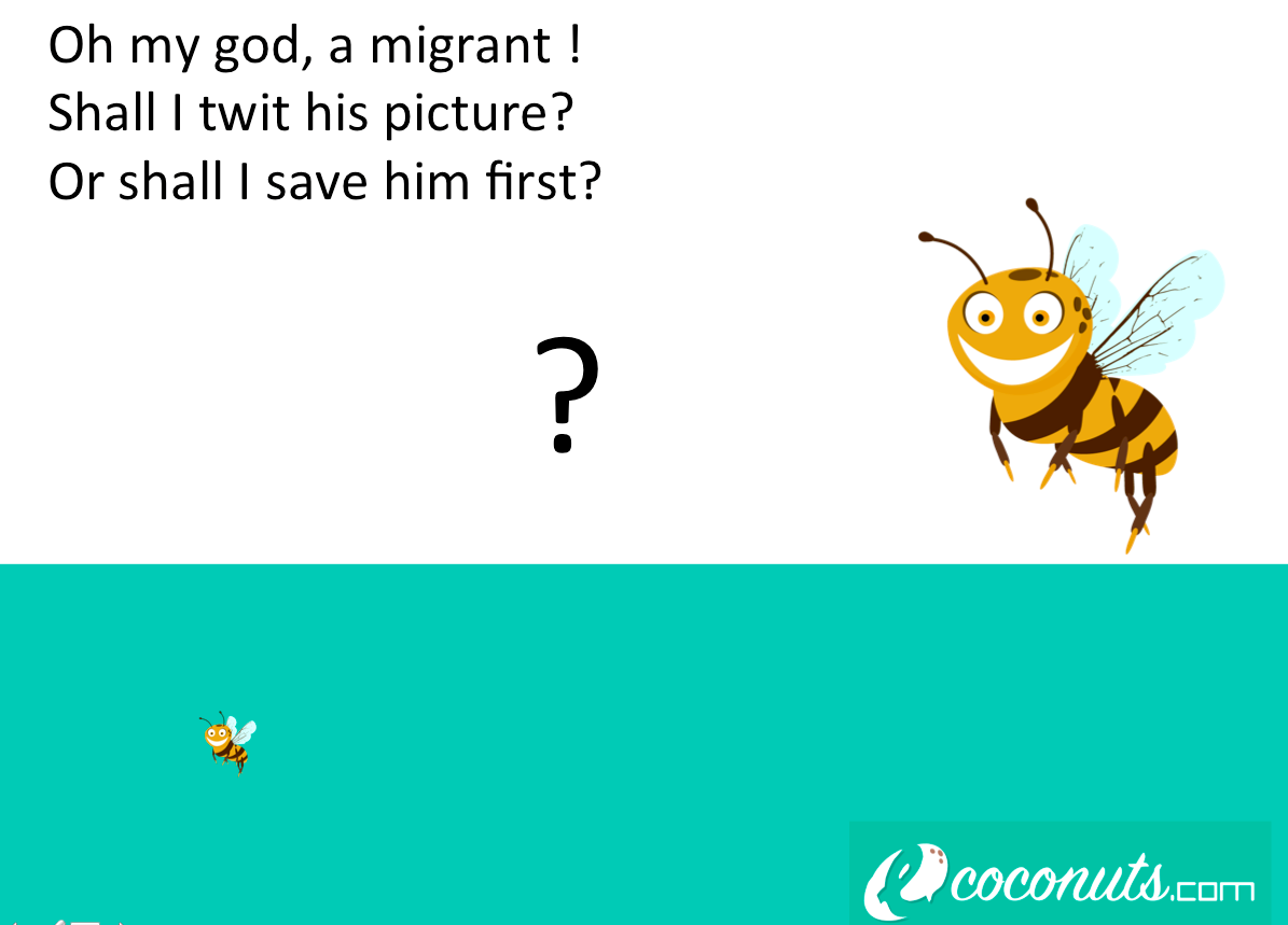 e_coconuts_com's tweet photo. OMG, a Migrant! What If I could Save him BEFORE he took the boat?
#SameForClimate #ActForClimate #SameForTheBees http://t.co/MXklvsjJeM