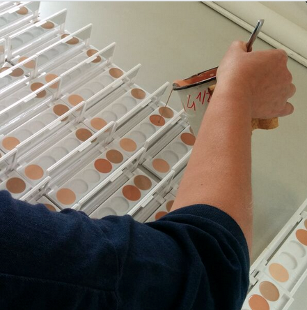KryolanOfficial's tweet photo. #KryolanINPRODUCTION #Dermacolor Palette... We first formulated our famous camouflage  make-up back in the 70s. http://t.co/tO957nmE4R