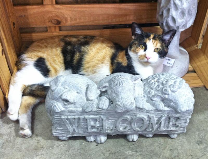 We will be Closed on Labor Day conta.cc/1IOlbrj