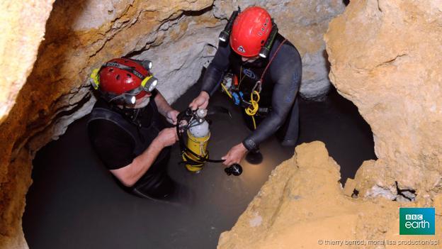 BBCEarth's tweet image. Isolated for 5.5 million years, the beasts that live in Romania's poison cave bbc.in/1iliV5P