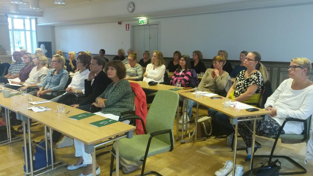 AijaBlomberg's tweet photo. KOUÖ MOTT på konferens. Pratar om kommunikation, Team &amp; Motivation.#södertäljesjukhus http://t.co/W6c5Hu5Cp8