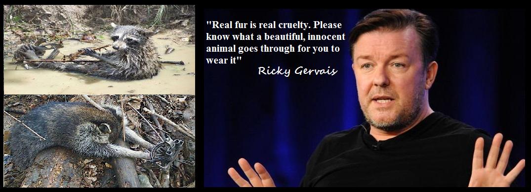 "Real Fur Is Real Cruelty" ~ <a href="/rickygervais/">Ricky Gervais</a>. #FurFreeFriday #FurFreeForever