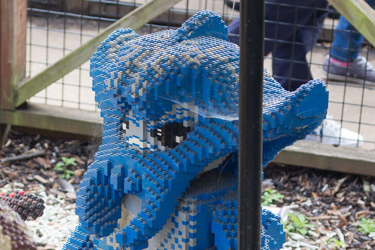 You're Getting Old tweet media