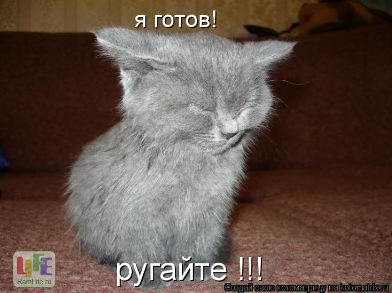 Нет слова нету. Цитаты ты нужен. Тут никого нет мем. Цитаты никому неинужен. Высказывания о совести.