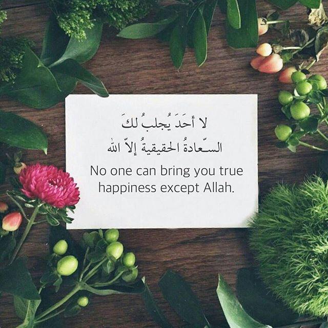 alelixir's tweet image. 