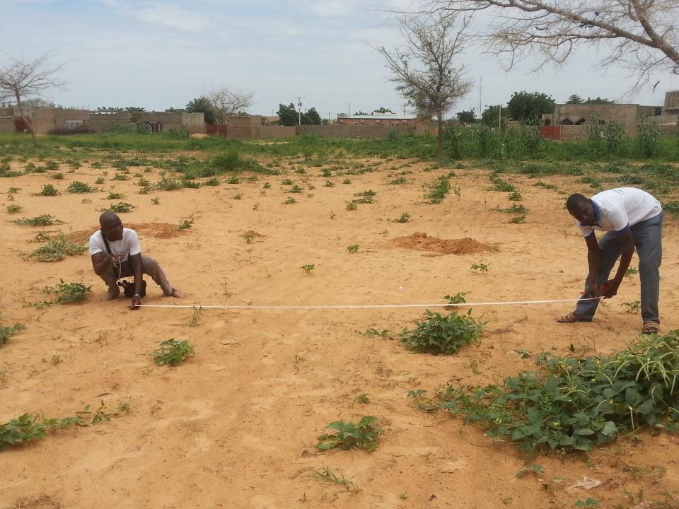 MaradipdevII's tweet photo. Plantations d'arbres au CES FRANCO#JEUNES #PDEV2 http://t.co/NF7CBU9C6T