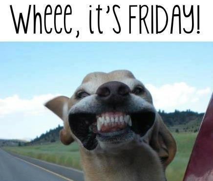 millmarket's tweet photo. It's Friday!!! How is everyone spending their Friday? http://t.co/BnX5evbrZl