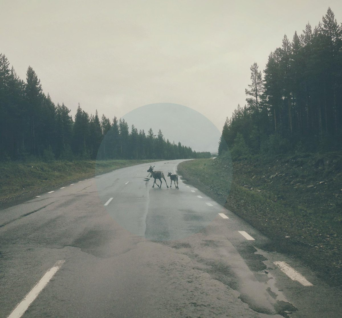 fluidradio's tweet image. Hunger... soundcloud.com/fluid-radio/gi…