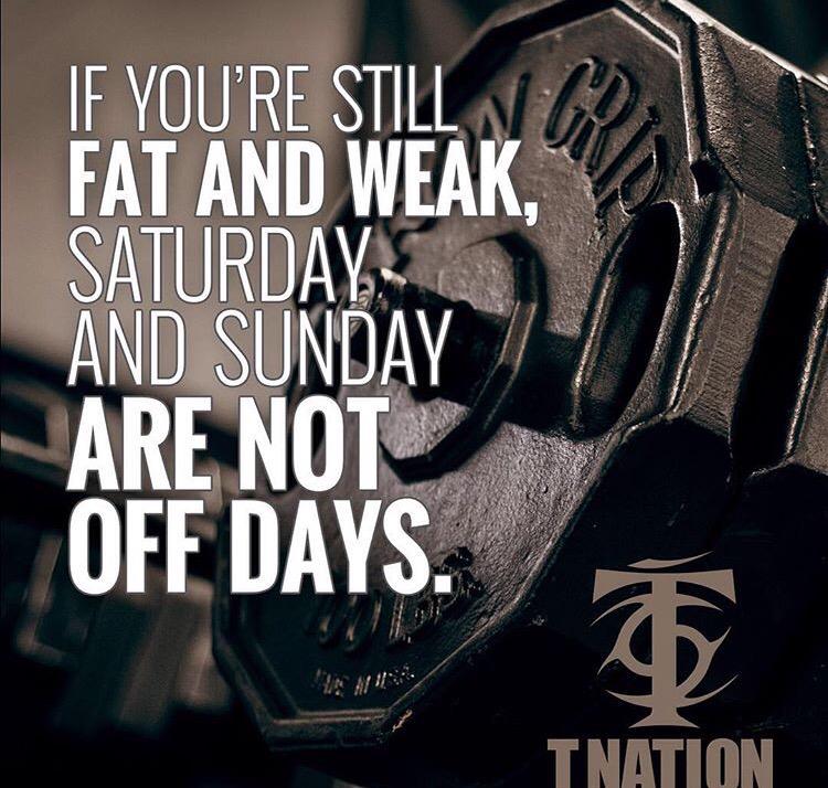 HatchStrength's tweet image. No days off.