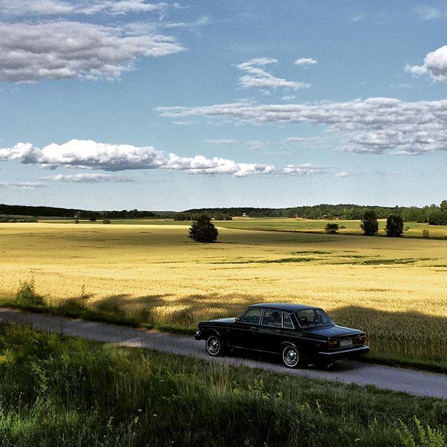 Volvo Cars tweet media