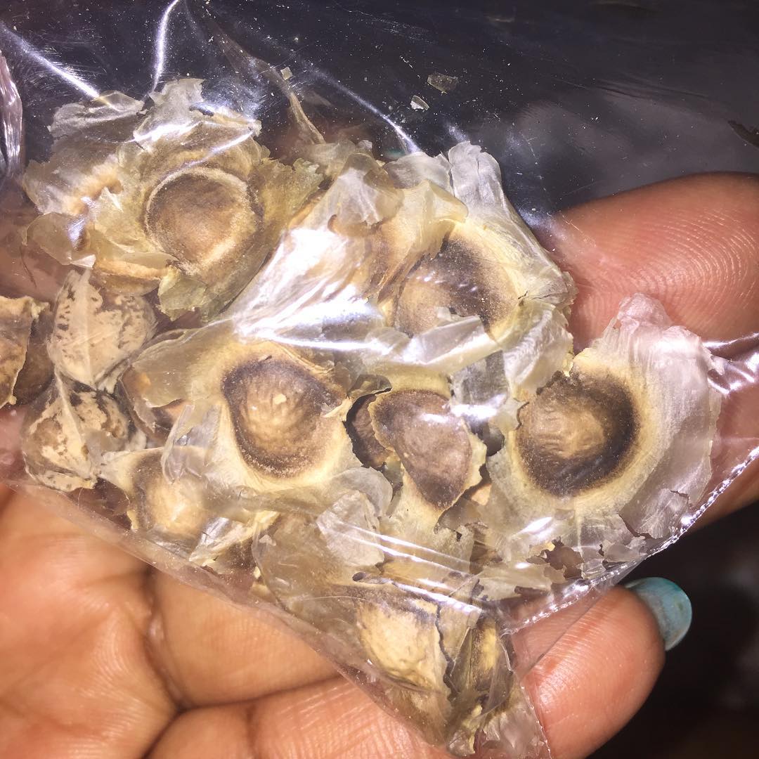 andrebrown92's tweet image. 