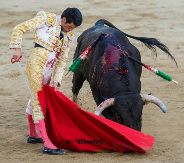 emdejusto's tweet photo. http://t.co/BVROXKkBy5