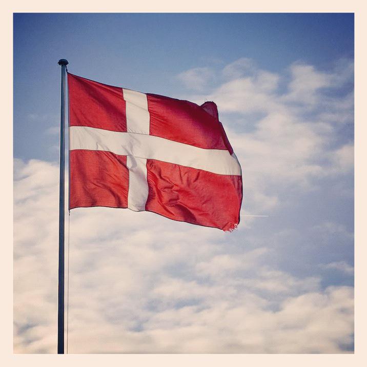 Mermaid Records tweet media