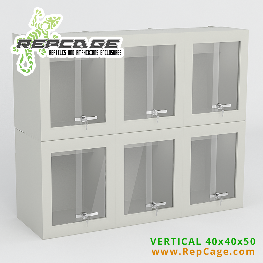 repcage_ltd's tweet photo. Check us at: http://t.co/Qimvo2YBUo
#reptile #repcage #reptilienserver #reptilia #terraria #terraristikahamm http://t.co/sLa5Eidtmu