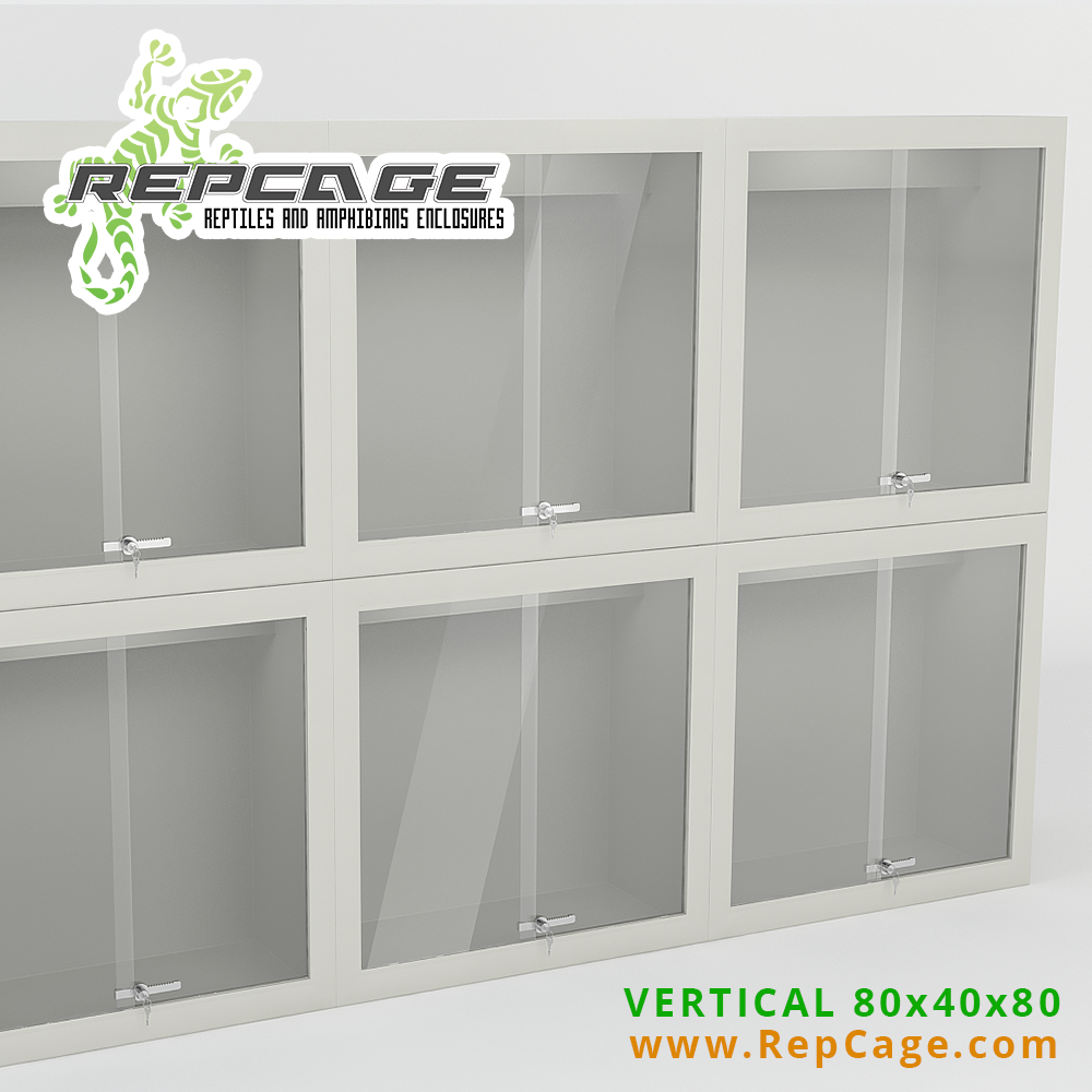 repcage_ltd's tweet photo. Check us at: http://t.co/Qimvo2YBUo
#reptile #repcage #reptilienserver #reptilia #terraria #terraristikahamm http://t.co/2Bk2Rw3jta