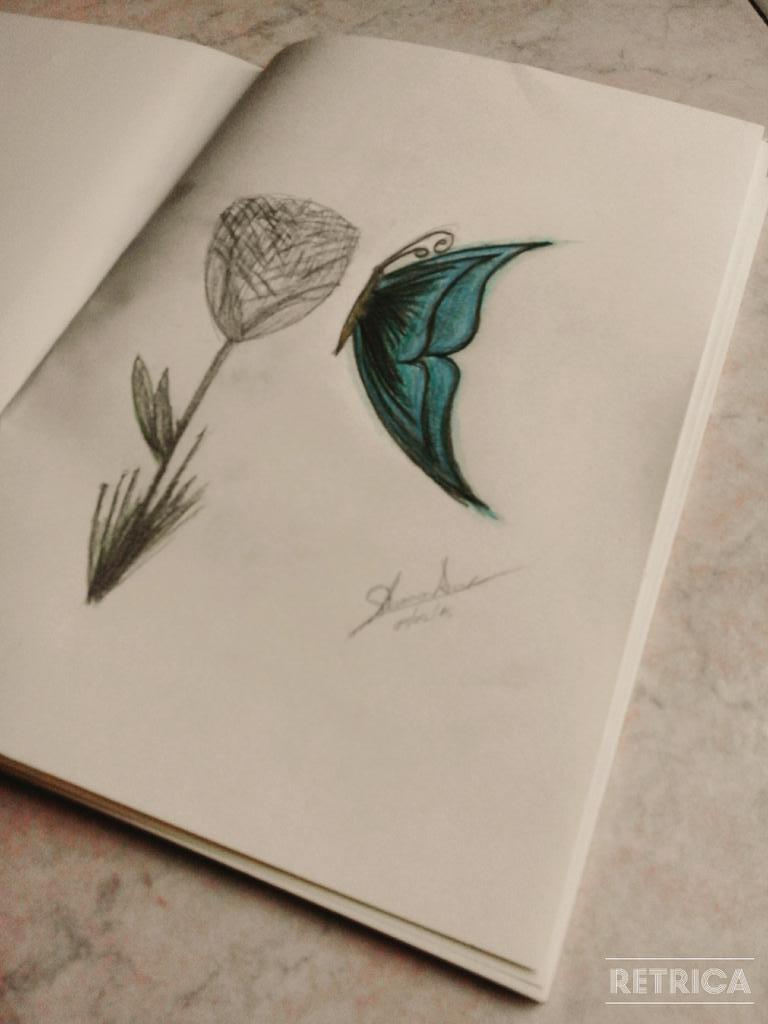 itsShannon_Anne's tweet photo. ILOVEButterfly http://t.co/yxk0WTR2Q5