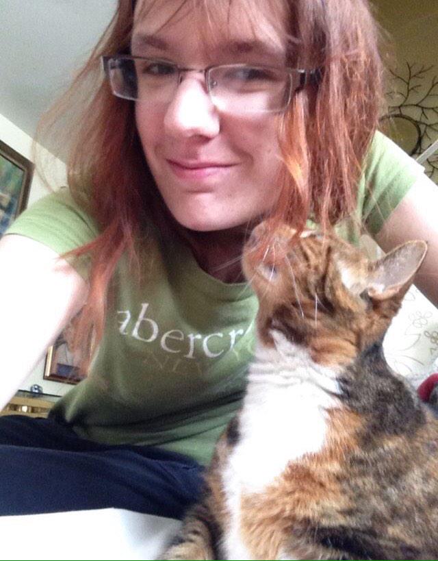 ShopForKitty tweet picture