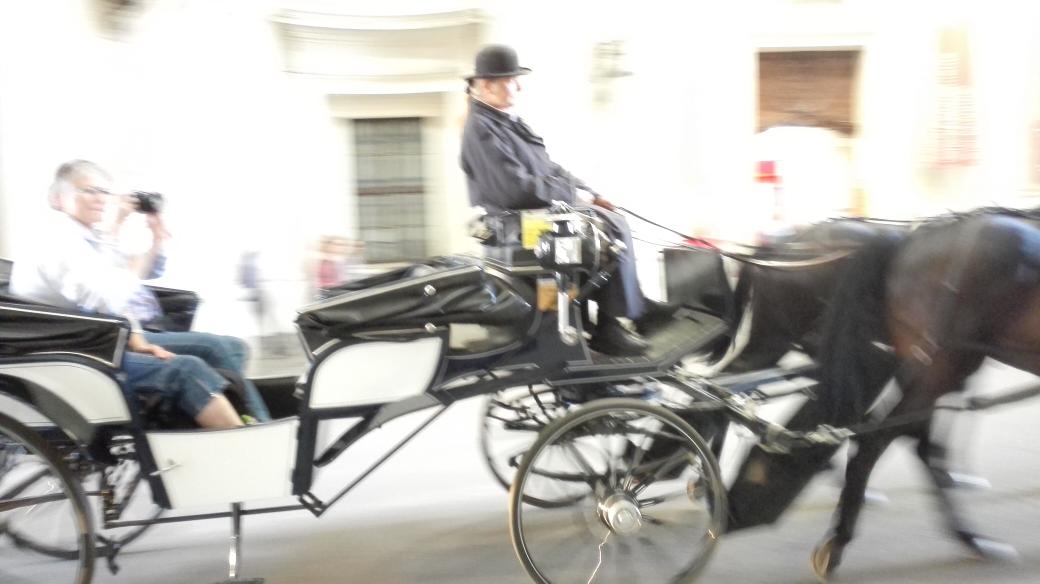 Fischenders's tweet photo. .@MFischetti for a strange coincidence I did similar (better?) photos with horses. Goodbye #or2015vienna http://t.co/MRsV1fOtR5