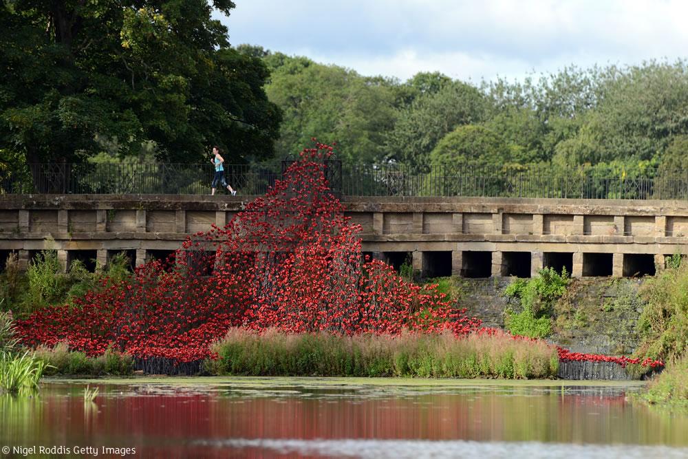 Welcome2Yorks's tweet image. If you do one thing this weekend, then make it a trip to @YSPsculpture to see the @1418NOW Poppies display. Stunning