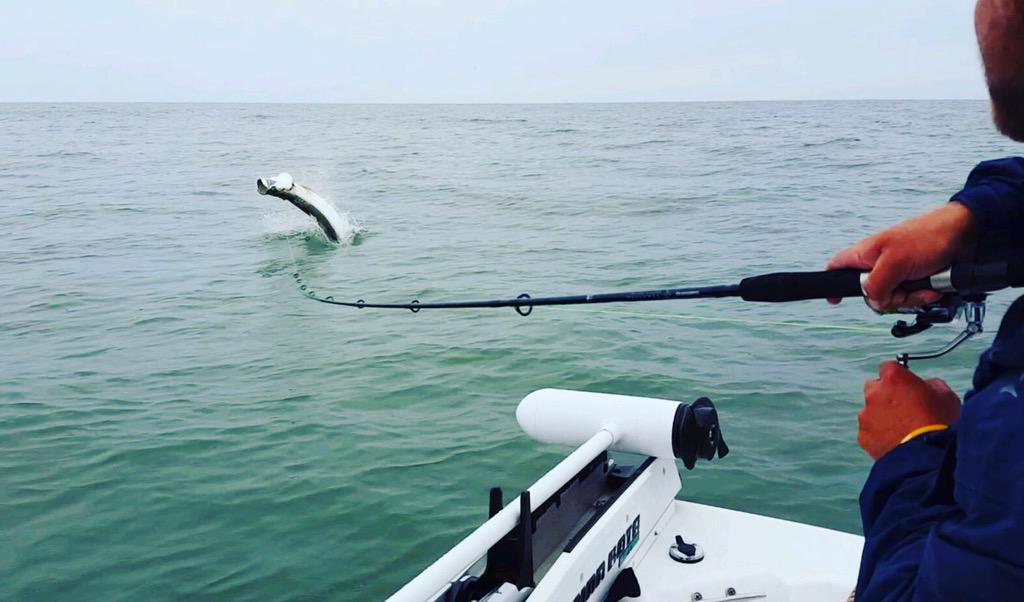 SouthernCatch's tweet image. Friday classes are rough..
#southerncatch