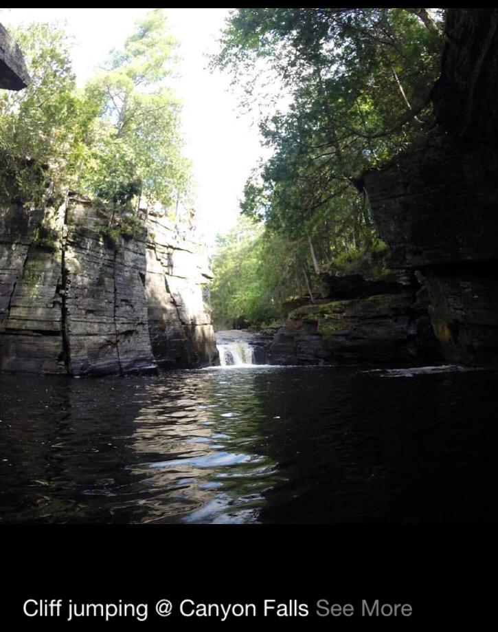 TweetMyTrump tweet media