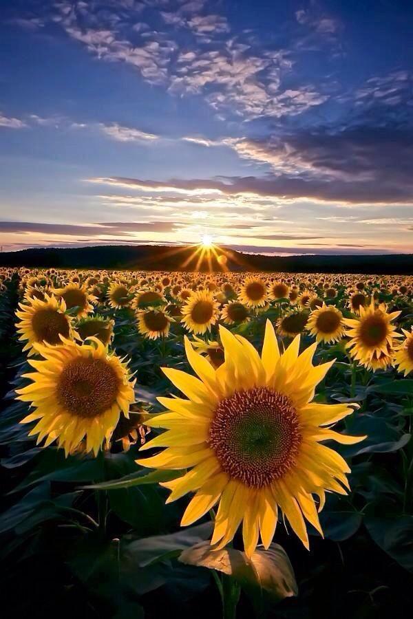 PardueSuzanne's tweet photo. Wake up each morning with
a thankful attitude. Expect
something good to happen
in your life today... http://t.co/suXDZ86mBE
