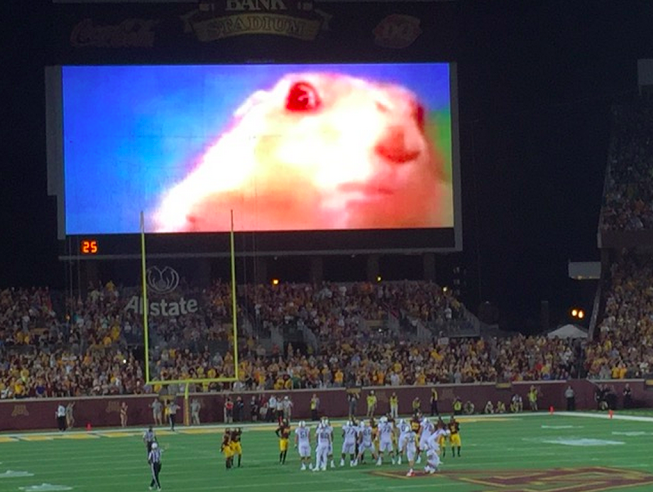 MattEngel53's tweet photo. I love the thought, but using the big screen to distract kickers should not be legal lol... http://t.co/UShAdznNkE