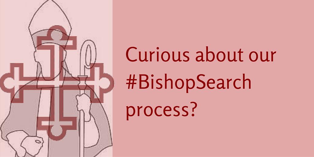 cnyepiscopal's tweet photo. Learn more about #CNYEpiscopal #BishopSearch
http://t.co/Fc7DtAQL4H http://t.co/jmTUyi6SsL