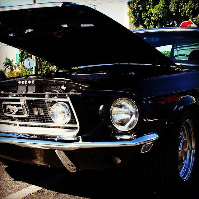 cpbyjjgarcia's tweet photo. 68 Fastback
#68mustanggt #68fastback #68mustang #68ford #fordmustanggt  #mustang #carphotographybyjjgarcia http://t.co/Li5wCyl1df