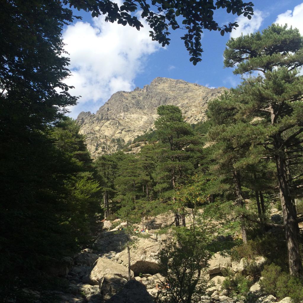 ben_tourisme's tweet photo. #GR20 #Vizzavona #Corse #Corsica #Outback #France 🇫🇷😎 #travelpics #Traveltips http://t.co/9iw8Pu3pTZ
