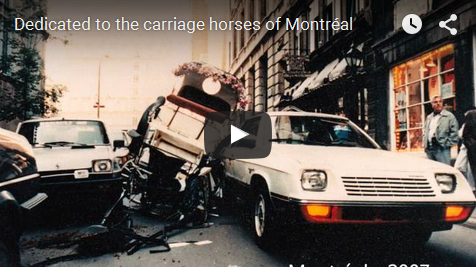BanCaleche's tweet photo. Dedicated to the #caleche #horses of #Montreal @DenisCoderre #OUTcaleche
https://t.co/o3LXDGL32B http://t.co/qRuL9tmUGO