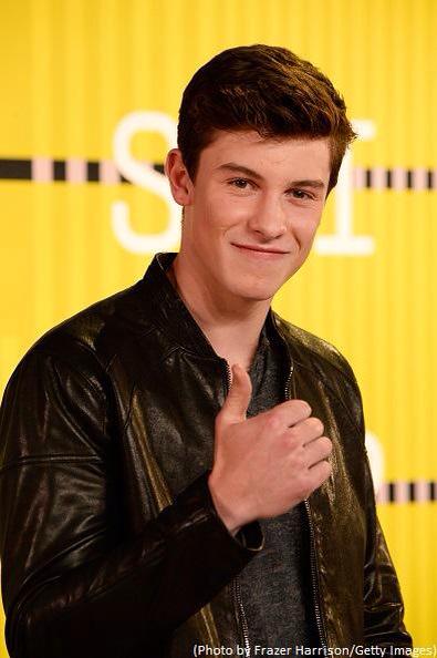 <a href="/ShawnMendes/">Shawn Mendes</a> if this gets 99+ rt's would you follow me