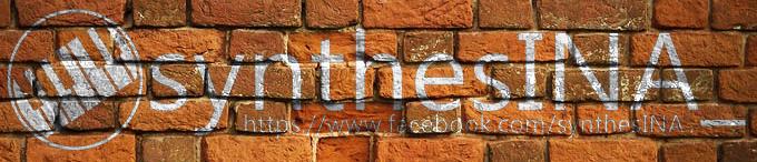 DHMSDWN's tweet image. #synthesINA